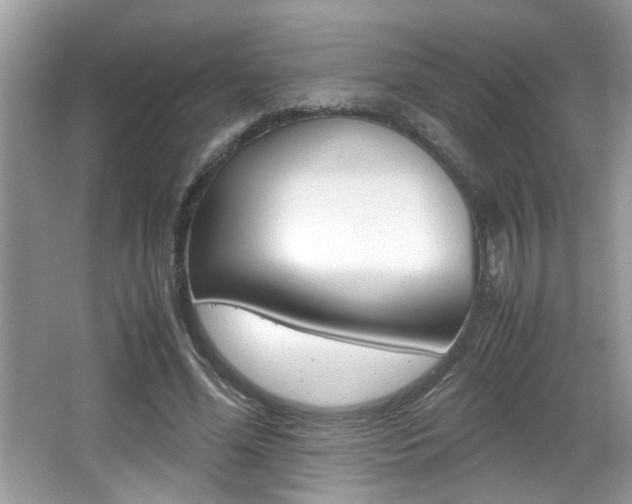X0000065960588200603030931