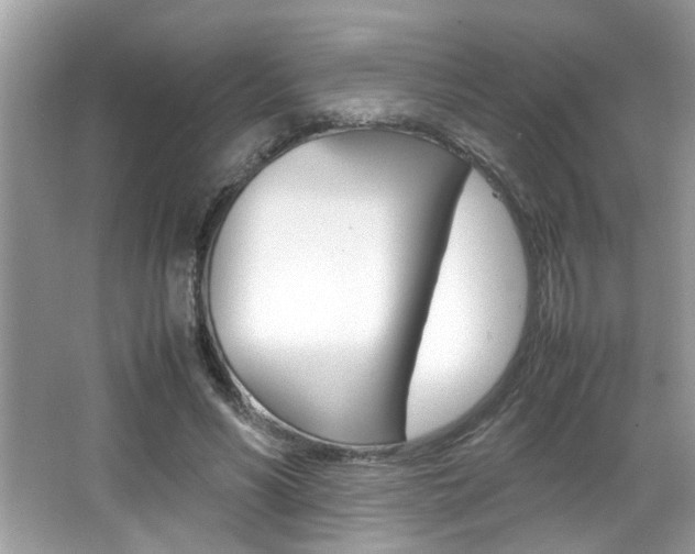 X0000065960590200603030931