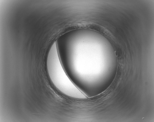X0000065960593200603030931