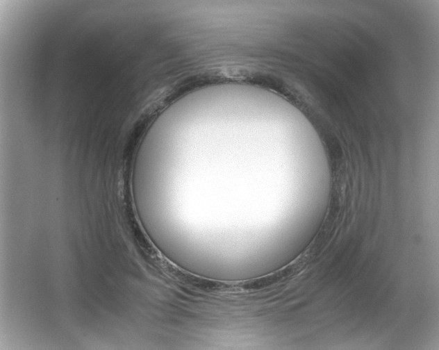 X0000065960595200603030931