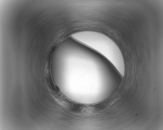 X0000065960599200603030931