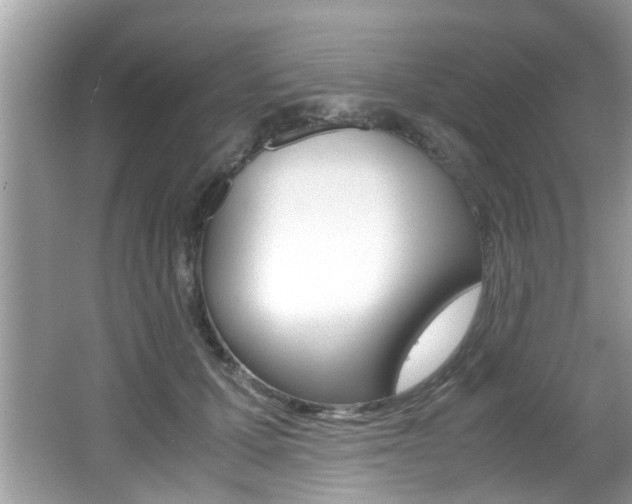 X0000065960607200603030931