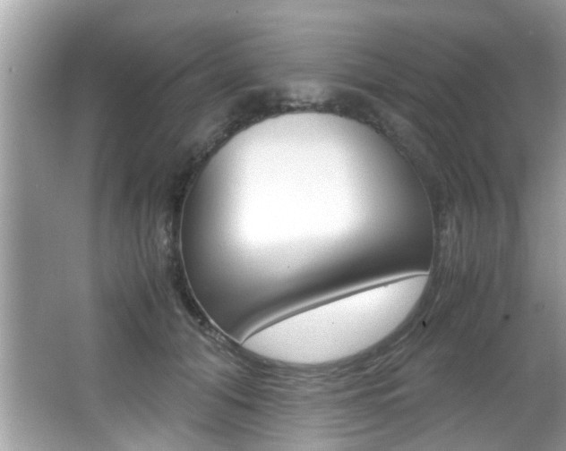 X0000065960608200603030931