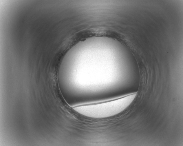 X0000065960609200603030931