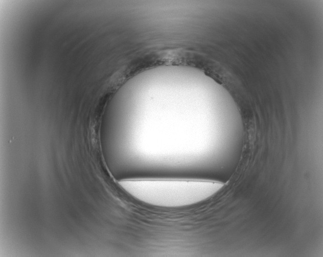 X0000065960611200603030931