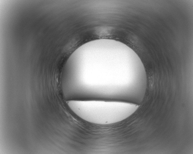 X0000065960618200603030931