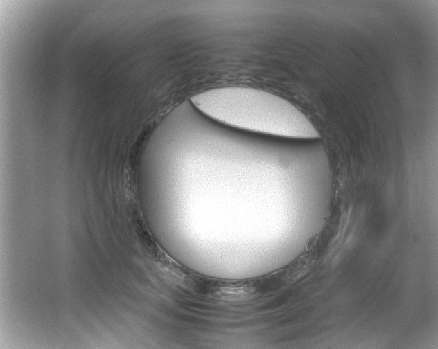 X0000065960659200603030930