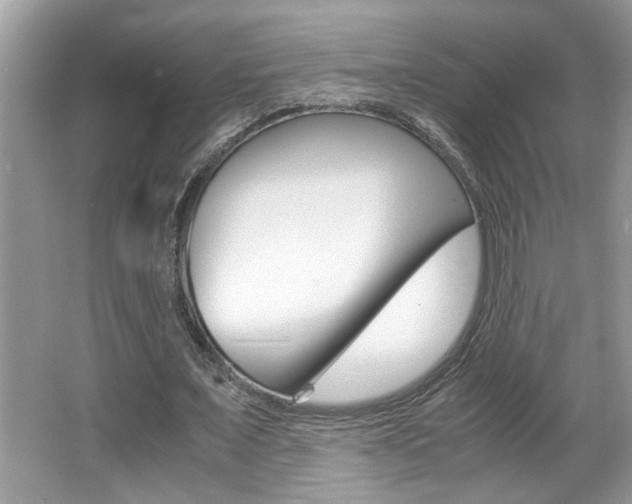 X0000065960675200603030930