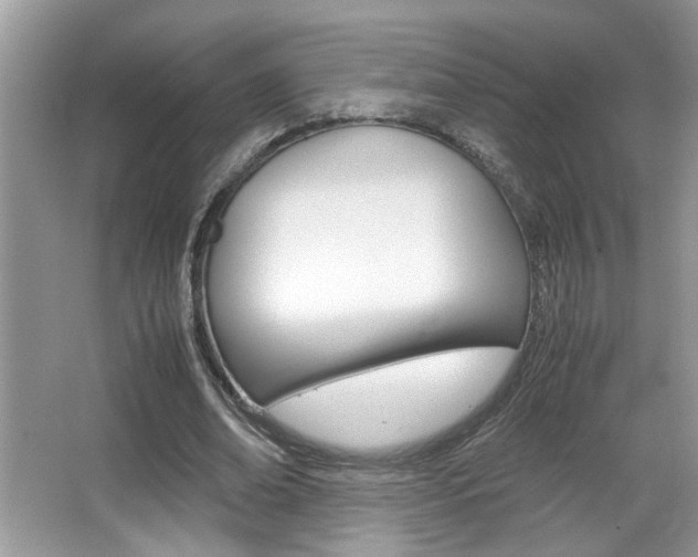 X0000065960678200603030930