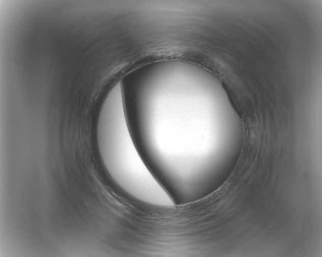 X0000065960692200603030929