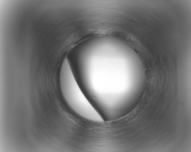 X0000065960696200603030929