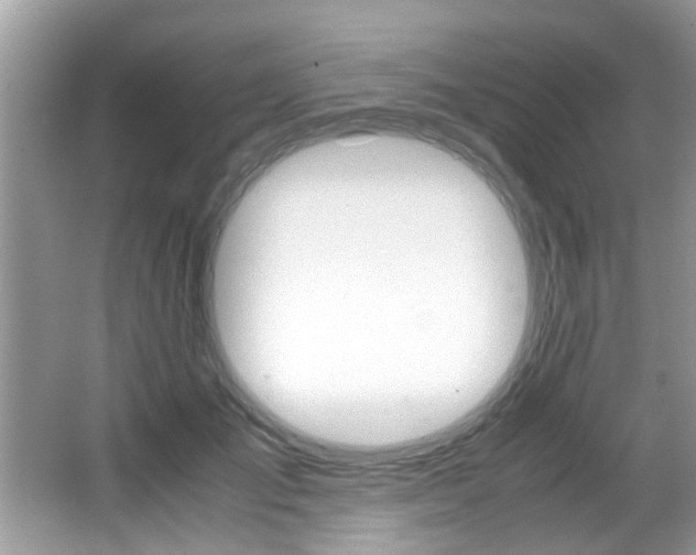 X0000065960701200603030929
