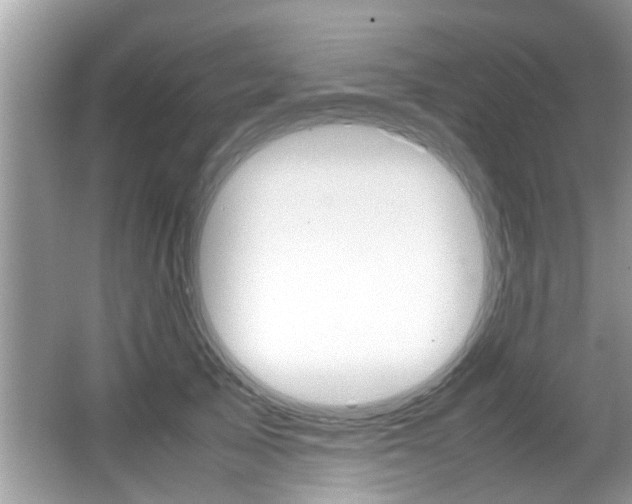 X0000065960705200603030929