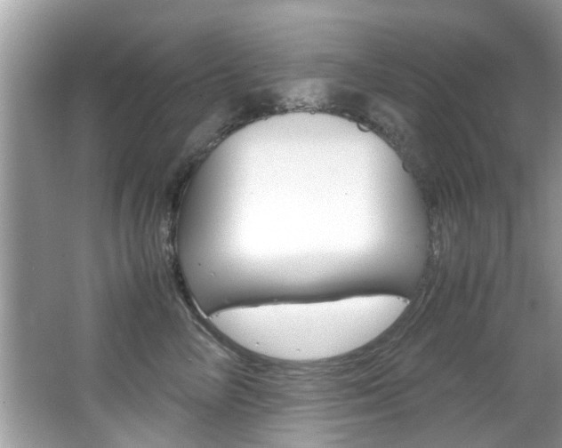X0000065960714200603030929