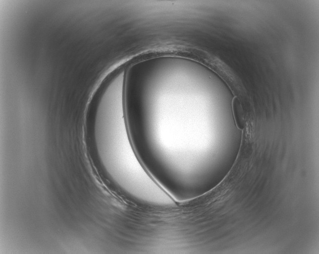 X0000065960724200603030928