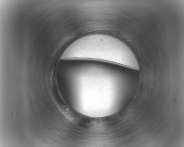 X0000065960742200603030928