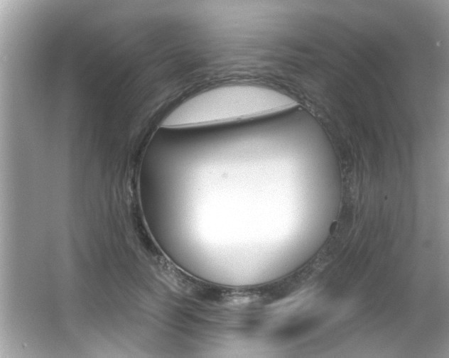 X0000065960746200603030928