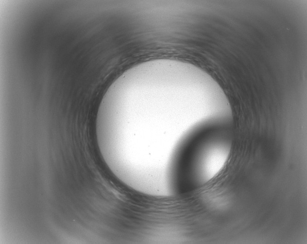 X0000065960750200603030929