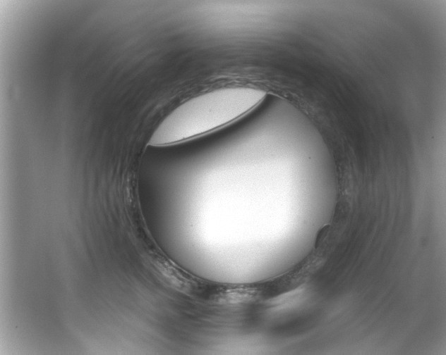 X0000065960758200603030929