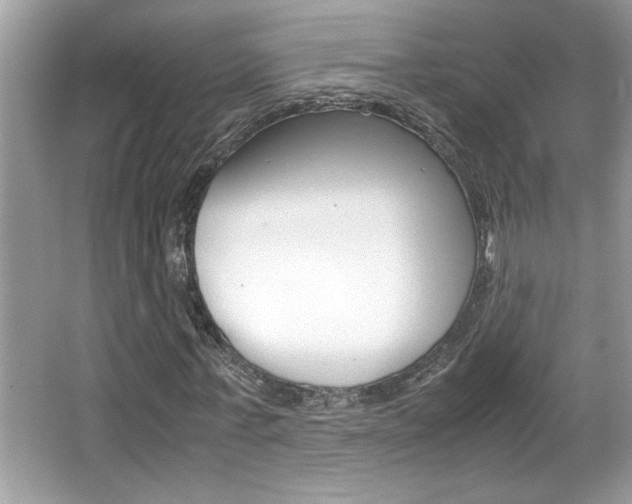 X0000065960771200603030928