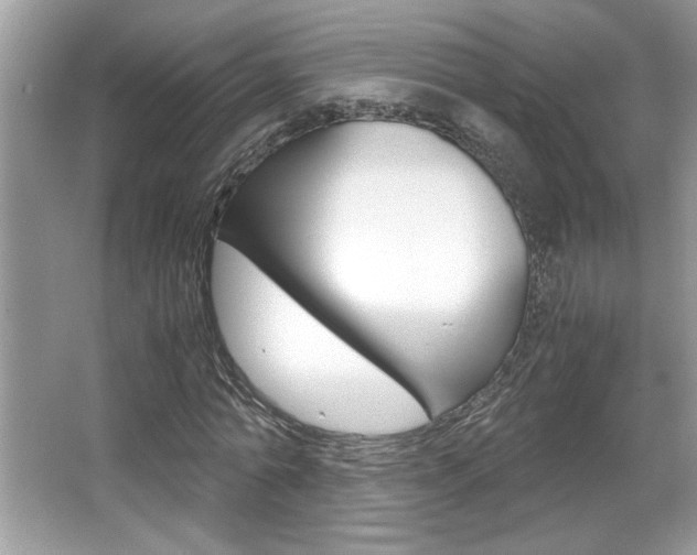 X0000065960774200603030928