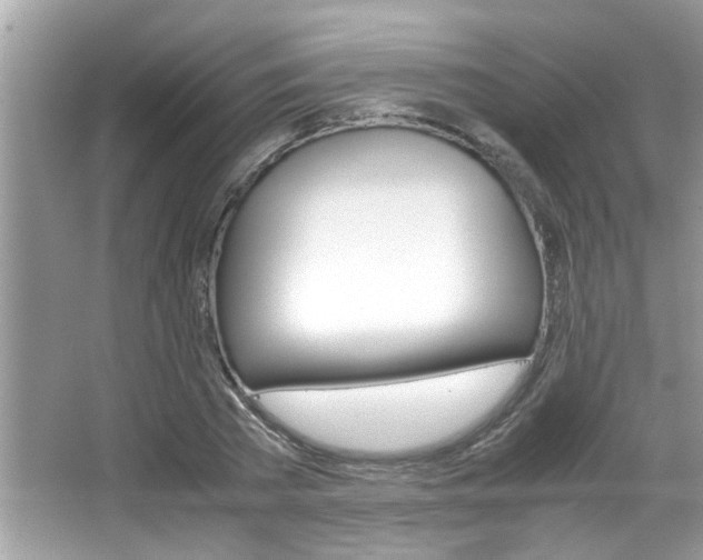 X0000065960785200603030928
