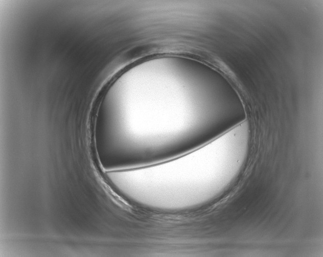 X0000065960787200603030928