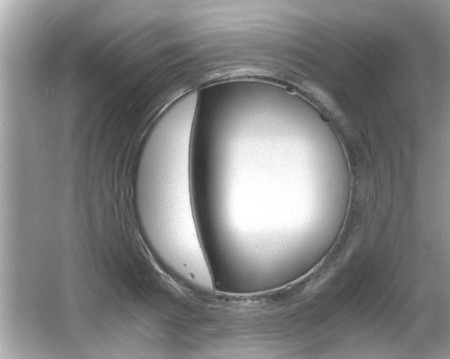 X0000065960793200603030928