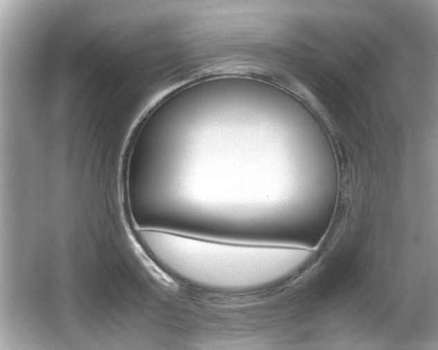 X0000065960795200603030928