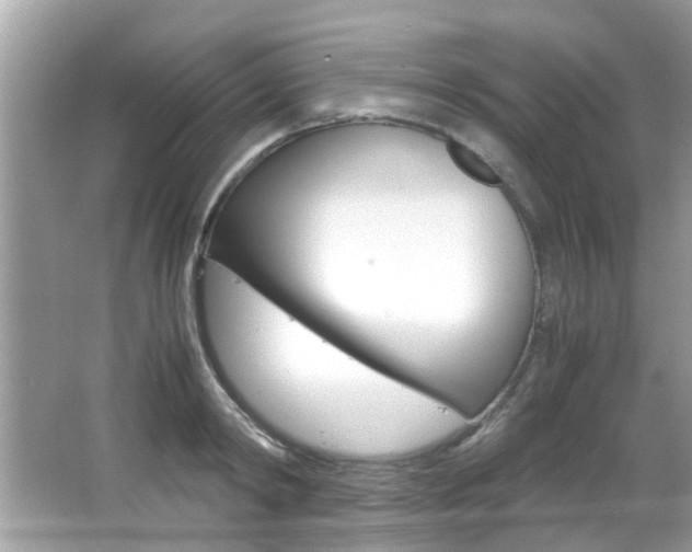X0000065960798200603030928
