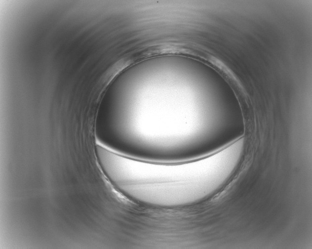 X0000065960801200603030927
