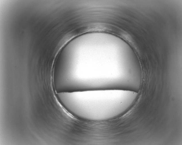 X0000065960802200603030927