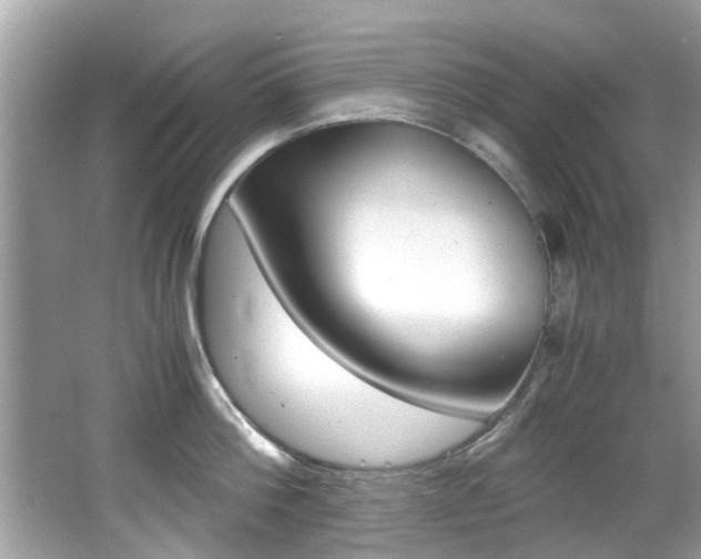 X0000065960812200603030927