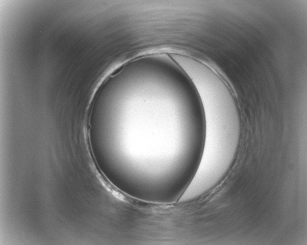 X0000065960813200603030927