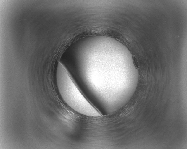 X0000065960817200603030926