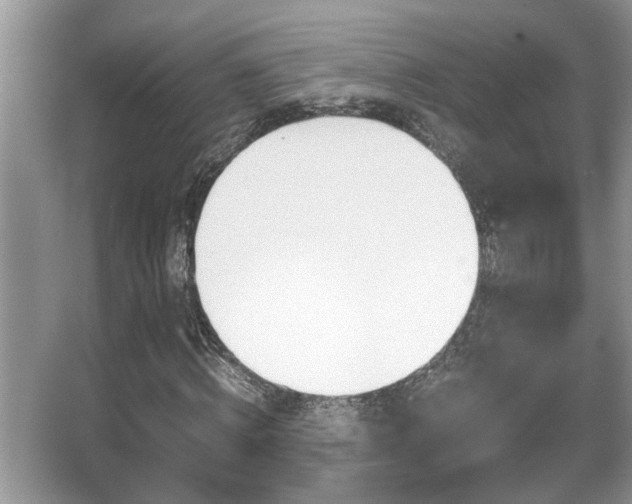 X0000065960820200603030926