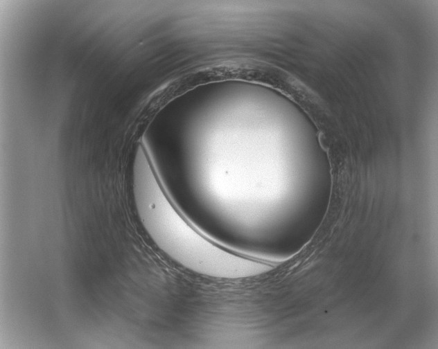 X0000065960822200603030926