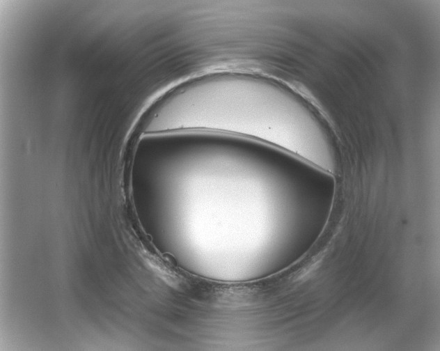 X0000065960830200603030927