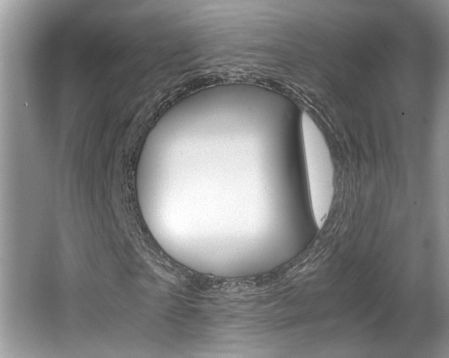 X0000065960865200603030926