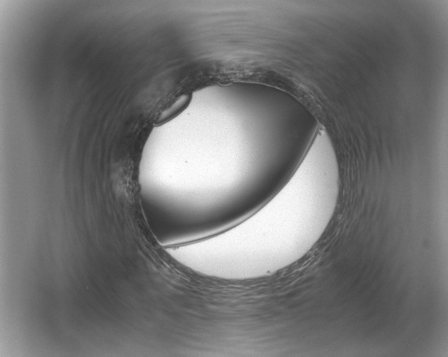X0000065960867200603030926
