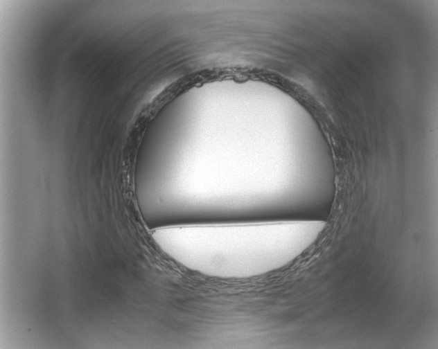 X0000065960871200603030926