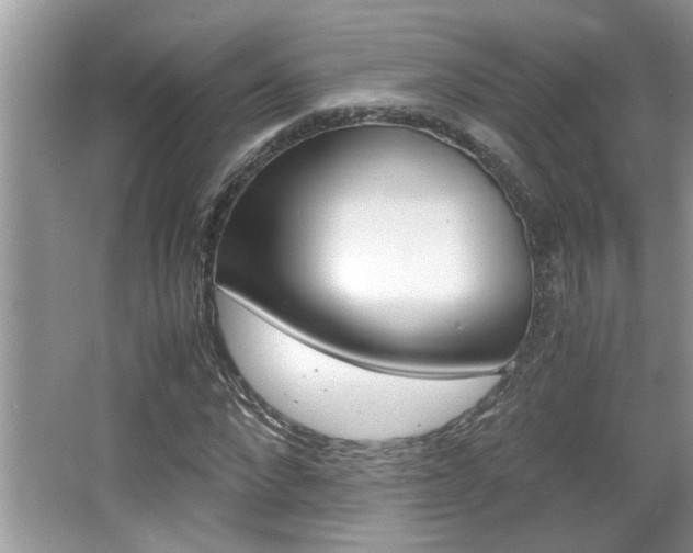 X0000065960872200603030926