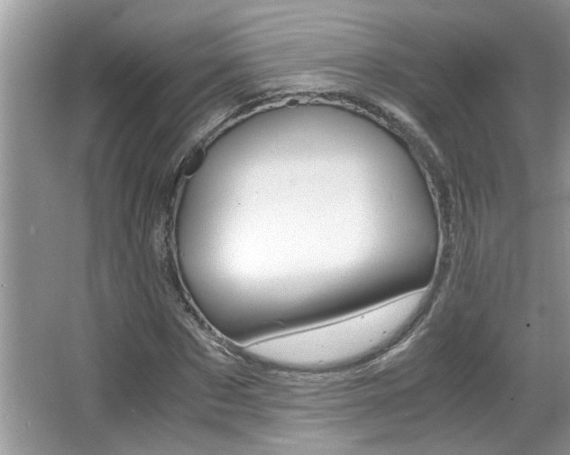 X0000065960873200603030926