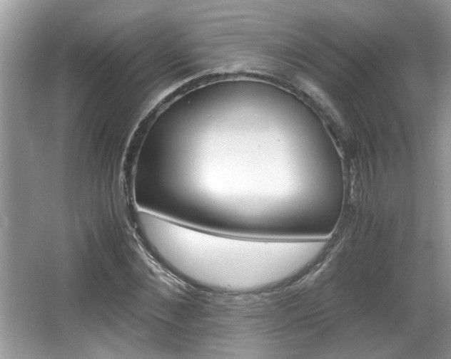 X0000065960876200603030926