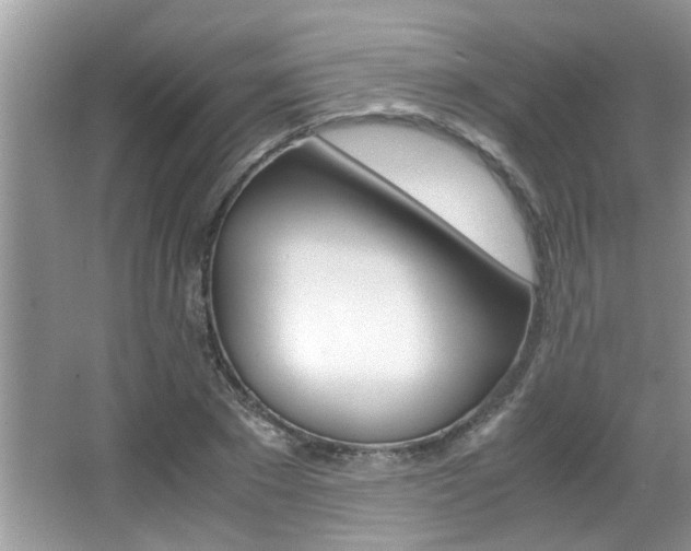 X0000065960881200603030926