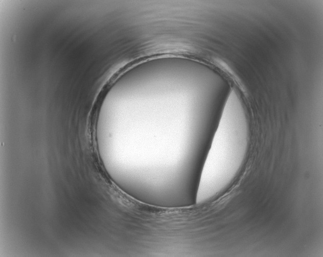 X0000065960883200603030926