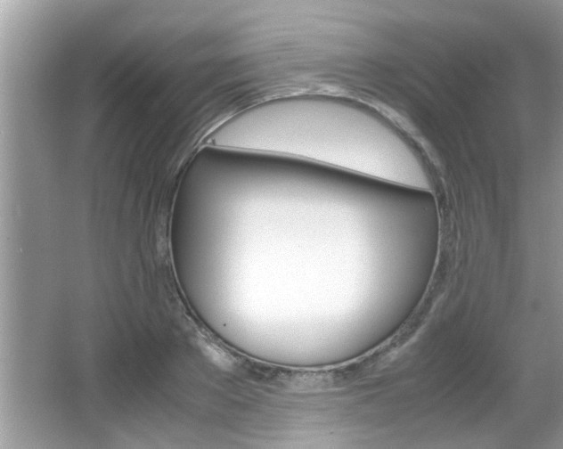 X0000065960889200603030926