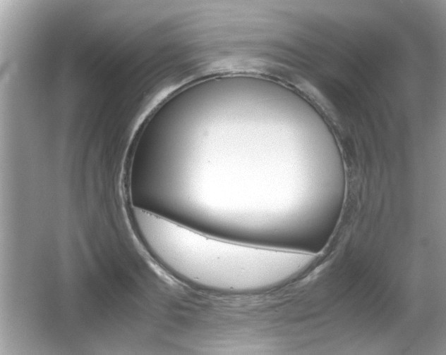 X0000065960893200603030926