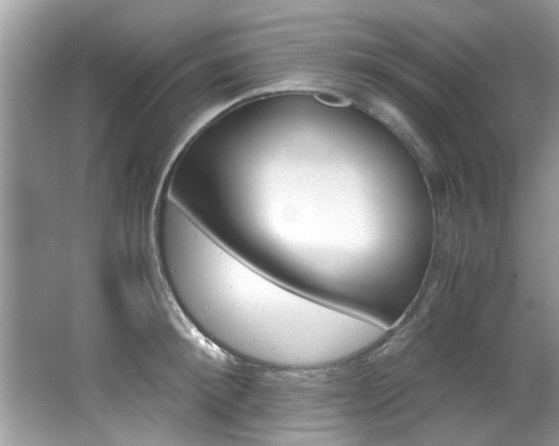 X0000065960900200603030926