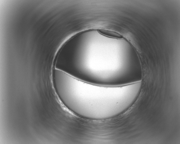X0000065960904200603030926